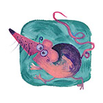 Appelli aperti anno 2007