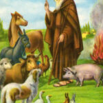 Sant’Antonio dalla barba bianca