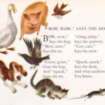 Bow Wow Says The Dog