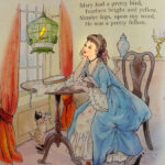 Mary had a pretty bird