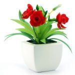 Ogni promessa è debito