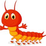 Carnevalito carnevalà