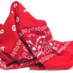 Amor dammi quel fazzolettino