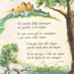 Sul pendio della montagna