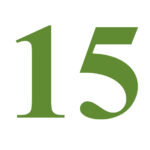 Quindici per quindici