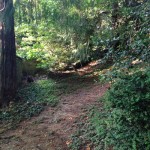 La storia di Selmo e Rita