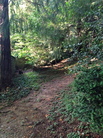 La storia di Selmo e Rita La storia di Selmo e Rita