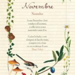 Novembre