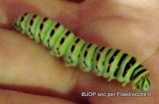 Il villaggio dei lombrichi