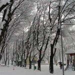 Coraggio nelle avversità