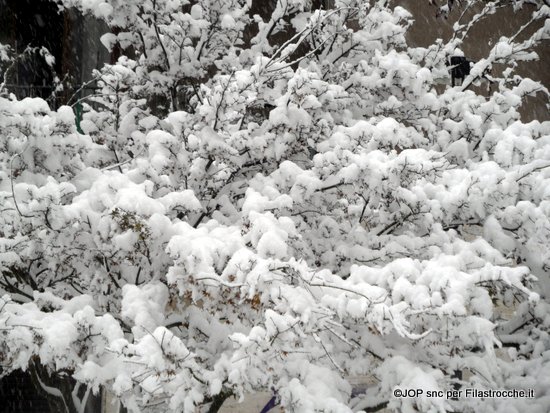 La neve