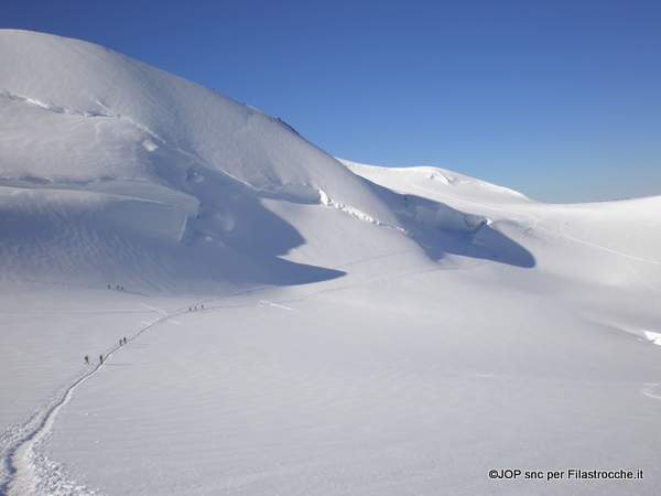 Neve