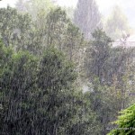 Il bambino che sogna l’estate