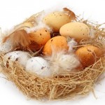 Cocco di mamma
