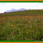 Un giorno d’estate