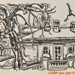 Il vecchio pero e la rondine