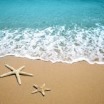 Filastrocca di Mamma di Mare