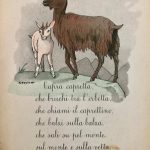 La Viudita Del Conde De Cabra