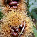 L’autunno fa rima con scuola