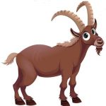 Filastrocca dello stambecco