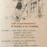Il bimbo e la rondine