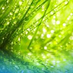L’ecologia dei miei sentimenti