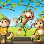 Le scimmie in viaggio