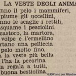 La veste degli animali