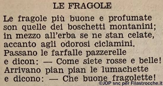 Le fragole di Emma Minoia Le fragole di Emma Minoia