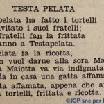 Testa Pelata