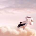 La Cicogna di Pontescodogna