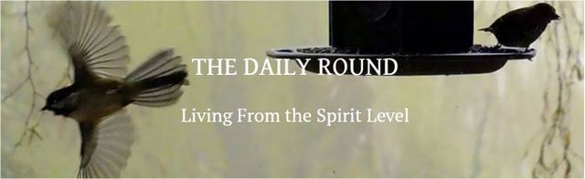 The Daily Round