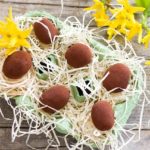 La gallina e l’uovo