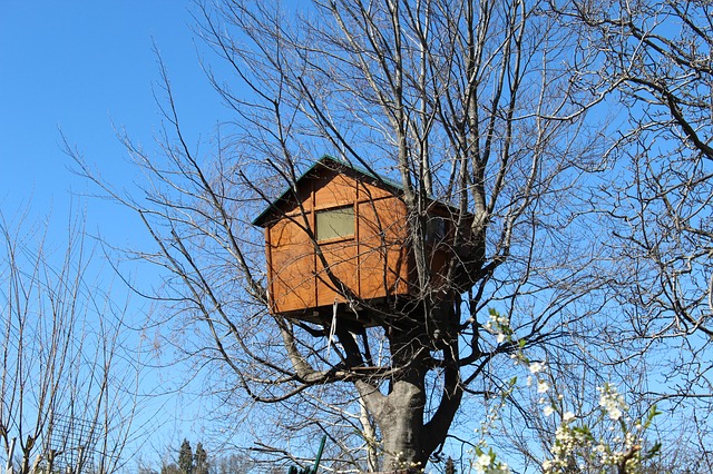 La casa sull'albero