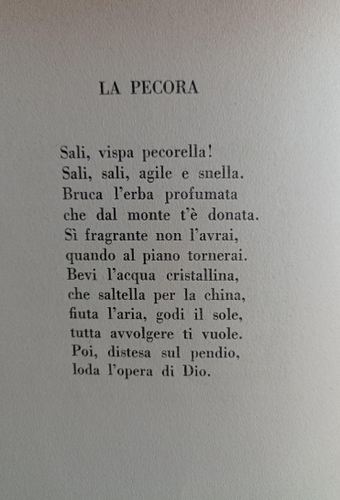 La pecora