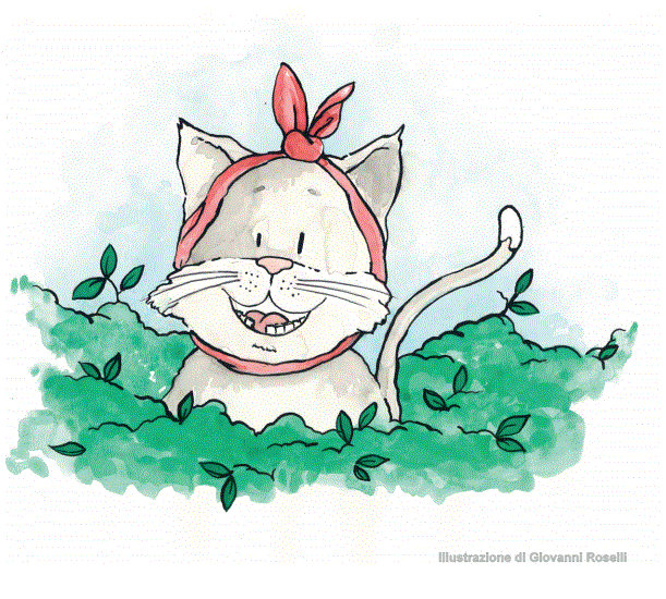 Il gattino ha perso un dente