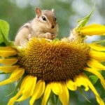 Natura è ciò che vediamo