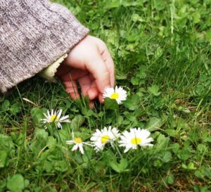 Un mazzo di fiori nel giardino