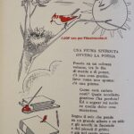 Una piuma sperduta ovvero la poesia