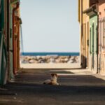 Silenzio