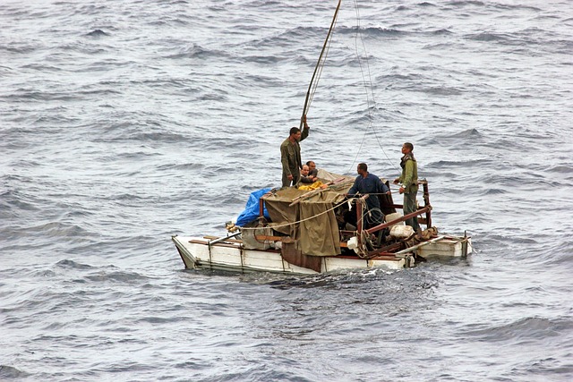 Tutto quello che porta il mare