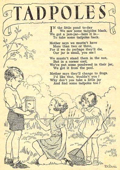 Tadpoles Tadpoles