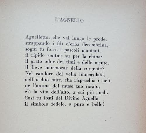 L'agnello