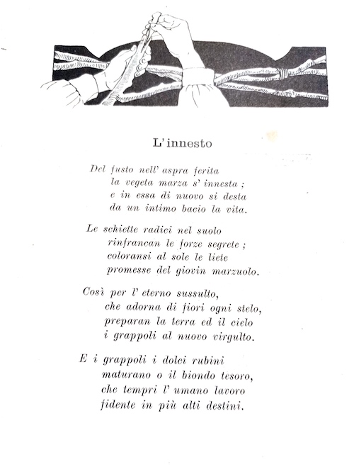 L'innesto