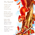 The Squirrel