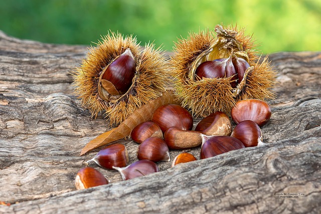 Acrostici di Autunno