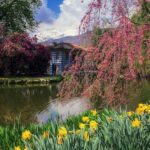 Il mio parco della Burcina