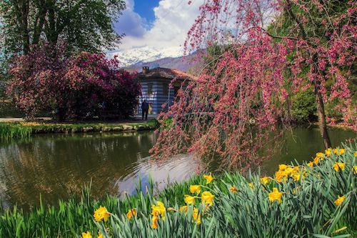 Il mio parco della Burcina