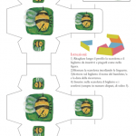 Bomboniera a scatoletta – Ape