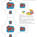 Bomboniera a scatoletta – Draghetto